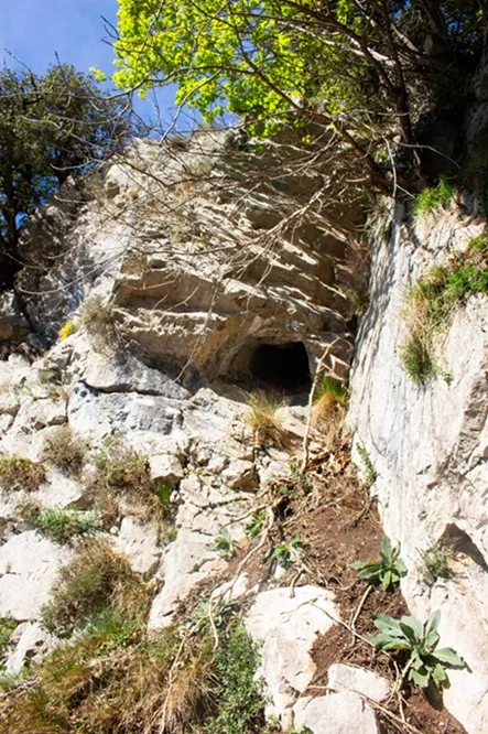 Fotografia de Cova de Toralloles (1 de 4)