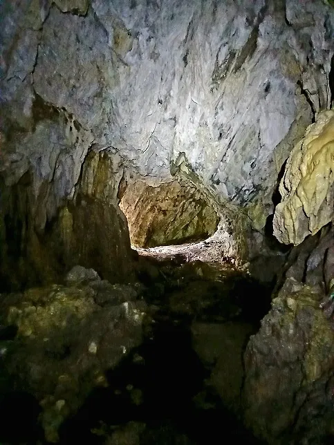 Fotografia de CASA FALSA DEL SITJAR (5 de 6)