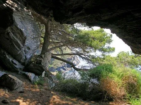 Fotografia de TASSANA, COVA (2 de 5)