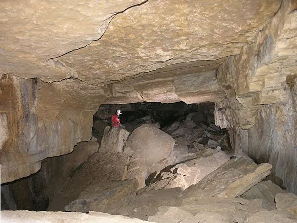 Photograph of TEIXIDORS, BORA DELS (3 of 8)