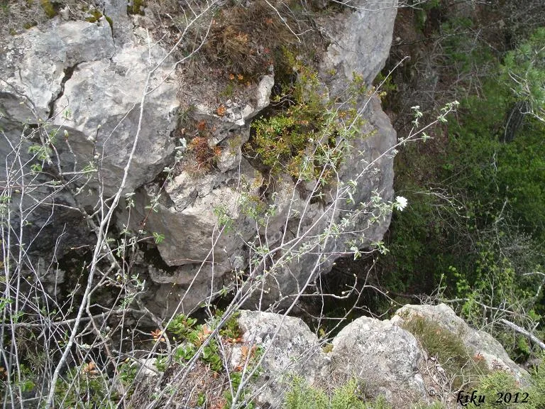 Fotografia de ROCA DEL MIGDIA Nº1, AVENC DE LA (3 de 3)