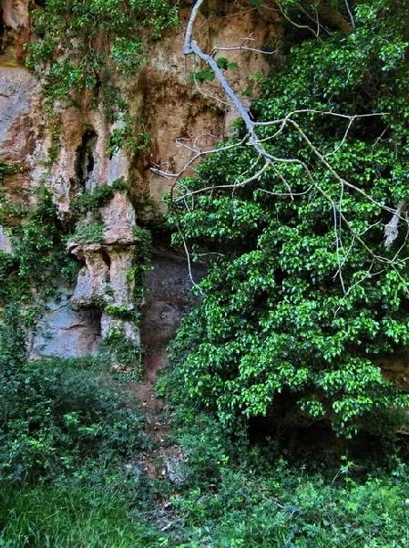 Fotografía de COLLET, COVA DEL (3 de 3)