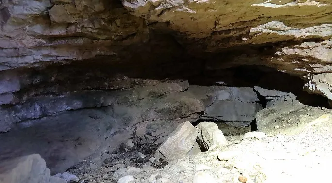 Fotografia de CASTELLOT, COVA DEL (4 de 5)