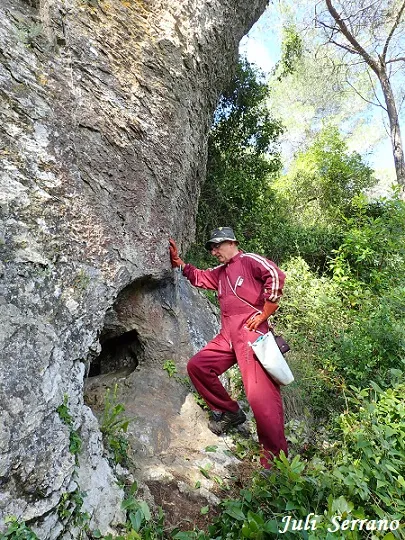 Photographie de PENYA, AVENC DE LA (2 sur 13)