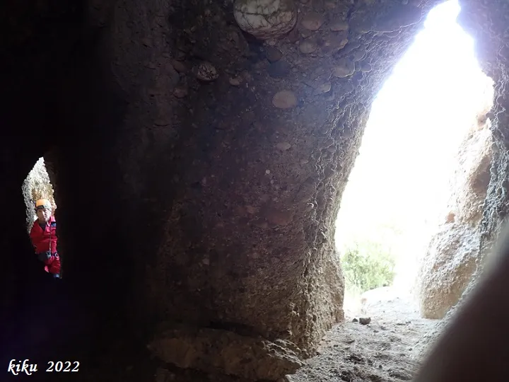 Fotografia de COLUMNA, COVA DE LA (5 de 8)