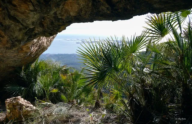Photograph of PUNTA DE LA BARQUETA, COVA DE LA (3 of 5)