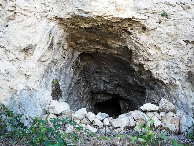 Fotografía de TEIX, COVA DEL (1 de 2)
