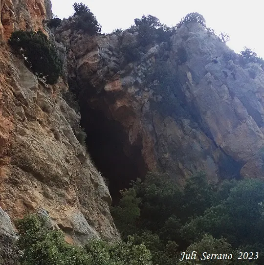 Fotografía de SANTA FE, COVA DE (1 de 12)