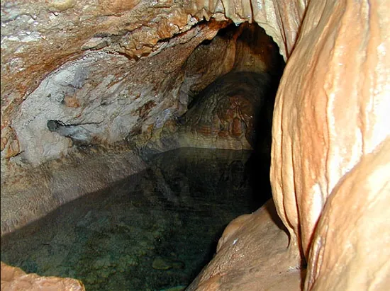 Fotografia de ÀNGEL, COVA DE L' (2 de 3)
