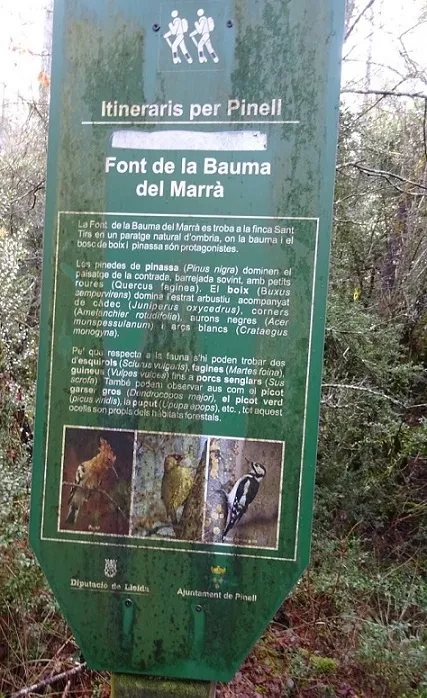 Fotografia de FONT DEL MARRÀ, BAUMA DE LA (1 de 5)