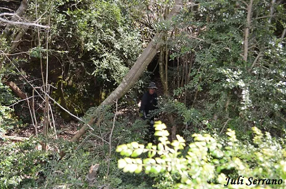 Fotografia de FUSÓ, FORAT DEL (1 de 1)