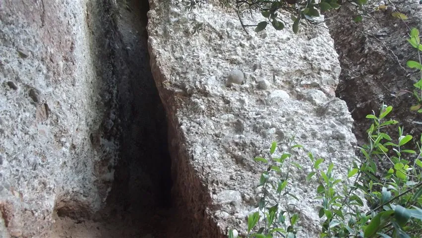 Photograph of ESQUIROL, COVA DE L' (4 of 7)