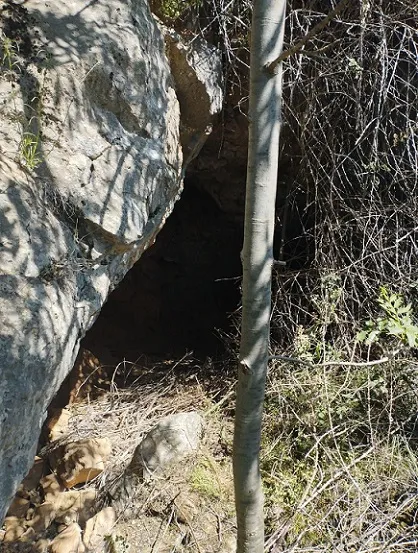 Photograph of ESPINOSA, COVA DE L' (1 of 8)