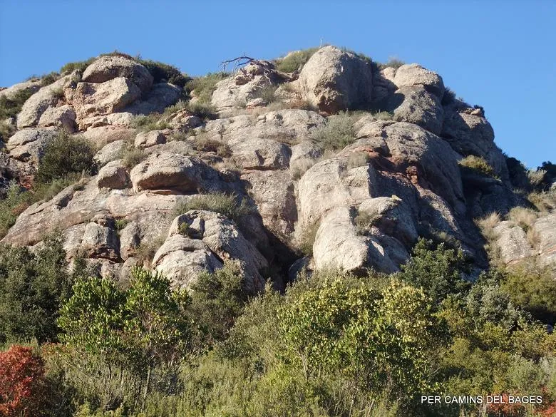 Photographie de LLADRES, COVA DELS (1 sur 4)