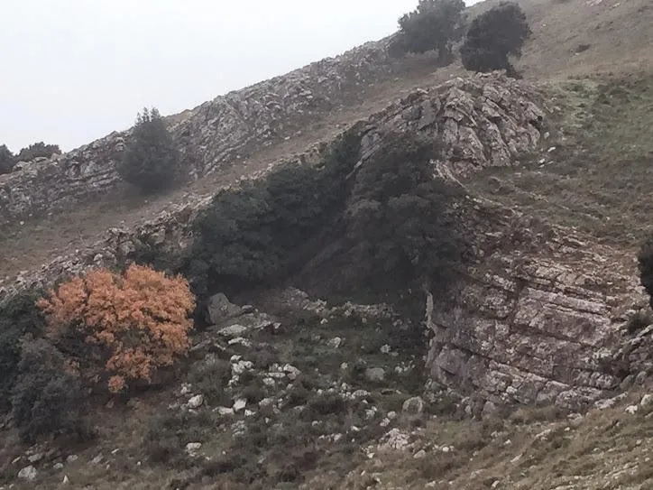 Photographie de BOSC, COVA DEL (1 sur 1)