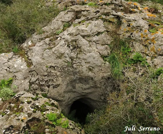 Photographie de CISTERNONS, CAU OEST DELS (1 sur 4)