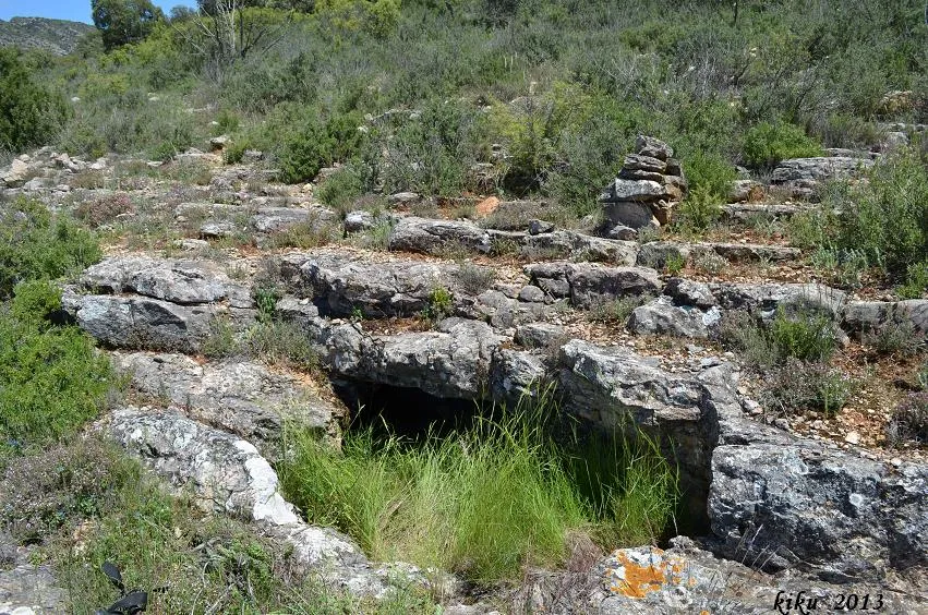 Fotografía de REMIGIO, BABORELL D'EN (1 de 5)