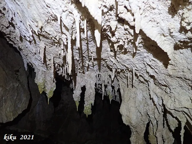 Photograph of SERRA DEL MASIET, AVENC DE LA (9 of 13)
