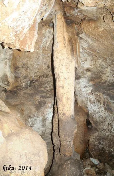 Fotografía de ALSAMORA, GRALLERA PETITA D' (5 de 6)