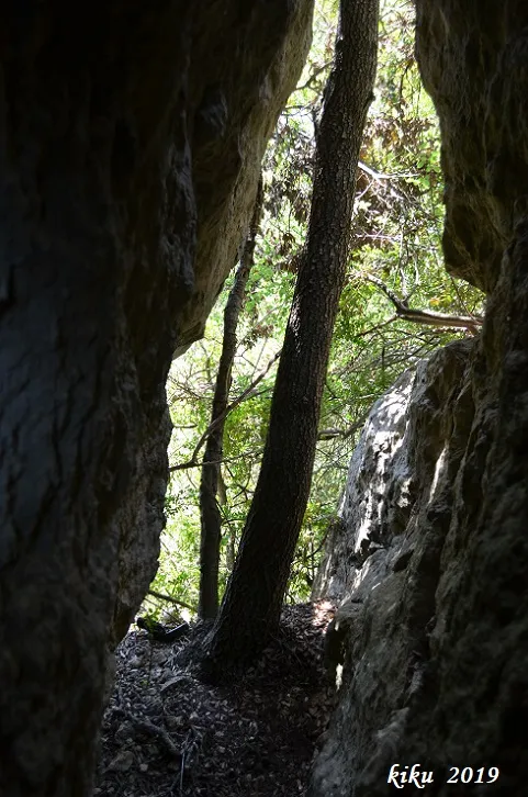 Fotografía de PICORANDAN, FORADADA DE (1 de 4)