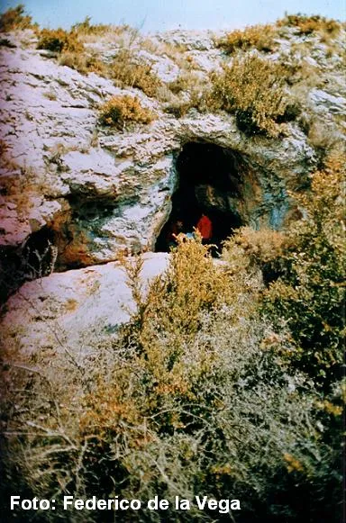 Photograph of FESOLERETS, COVA DE (1 of 4)