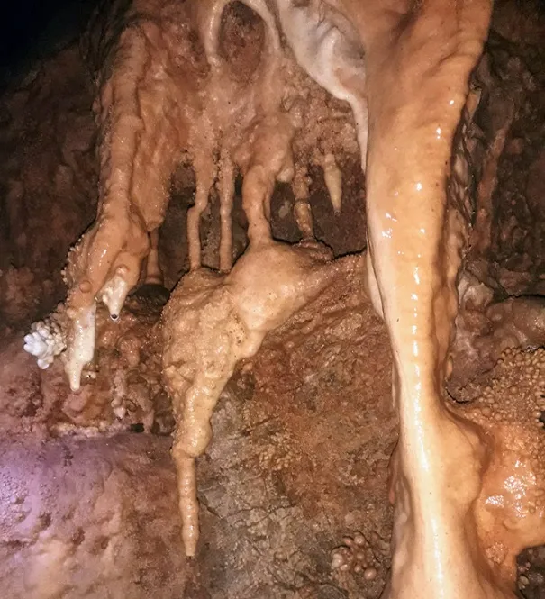 Fotografía de MUSTAFÀ, AVENC DEL (6 de 8)