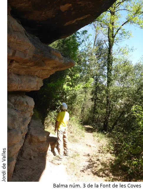 Fotografia de FONT DE LES COVES, BALMA Nº3 DE LA (1 de 2)