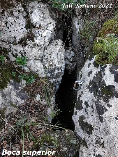 Fotografia de MAS DE LES FONTS, ESQUERDA Nº 1 DEL (1 de 13)