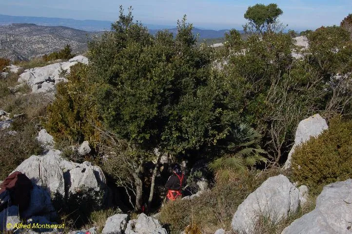 Fotografía de MARGALLÓ, AVENC DEL (2 de 7)