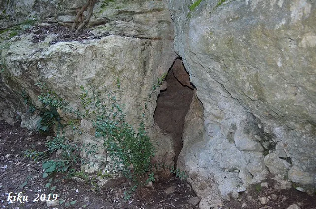 Photograph of FONT DE SANT LLORENÇ, COVA DE LA (1 of 8)