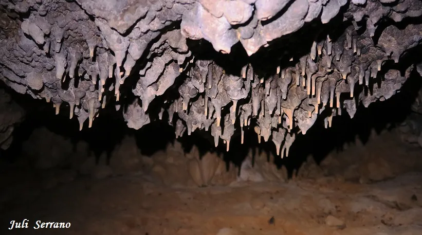 Fotografia de CAMÍ DE LES SENIOLES, AVENC DEL (6 de 6)