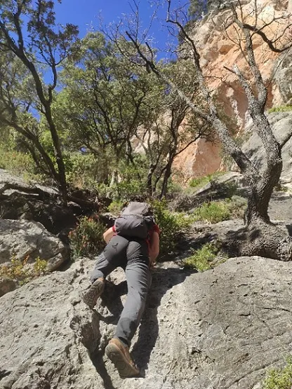 Photograph of FAIXA DE ROCA ROJA, FORAT DE LA (3 of 10)
