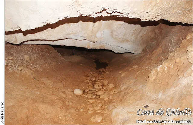Photograph of ABELLÓ, COVA DE L' (4 of 4)