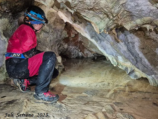 Fotografia de AIGUA DE CASELLES, COVES DE L' (13 de 13)