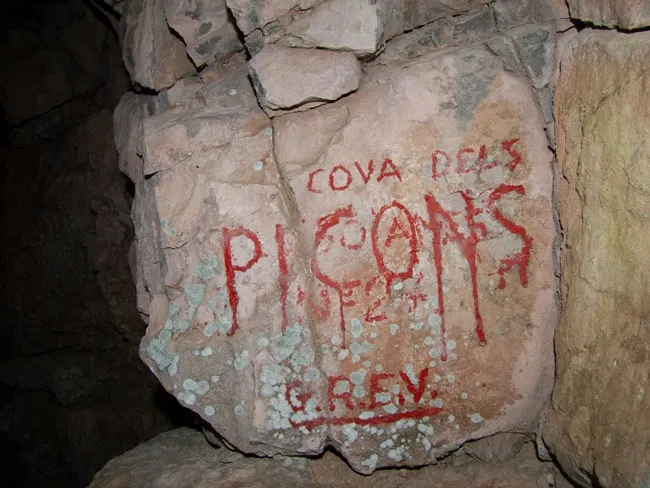 Photographie de PICONS, COVA DELS (2 sur 4)