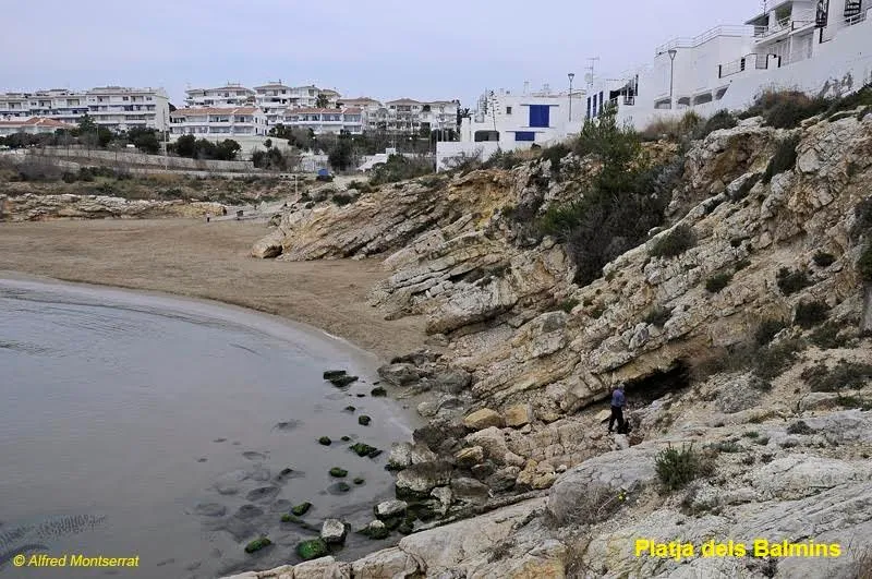 Photographie de BALMINS, ELS (1 sur 7)
