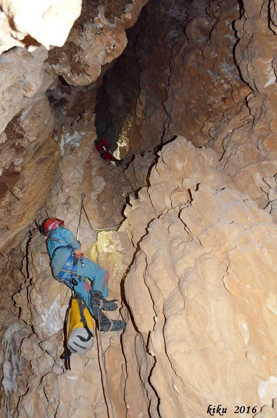 Fotografia de COSTA D'ALZINA, GRALLER DE (8 de 11)