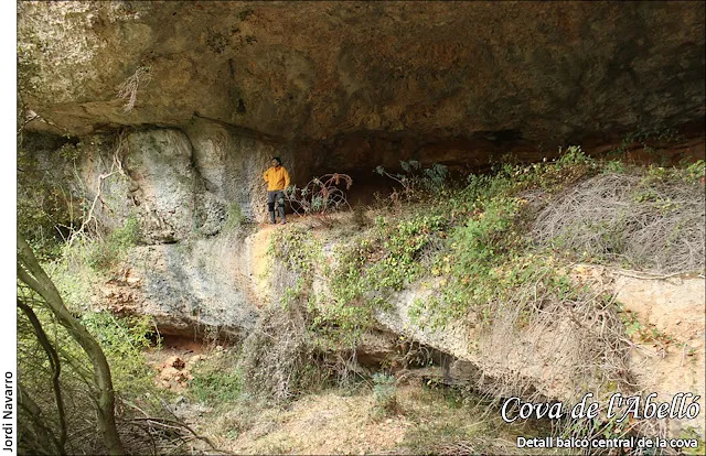 Photograph of ABELLÓ, COVA DE L' (2 of 4)