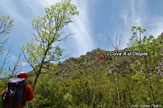 Fotografía de OLOPTE, COVA GRAN D' (1 de 7)