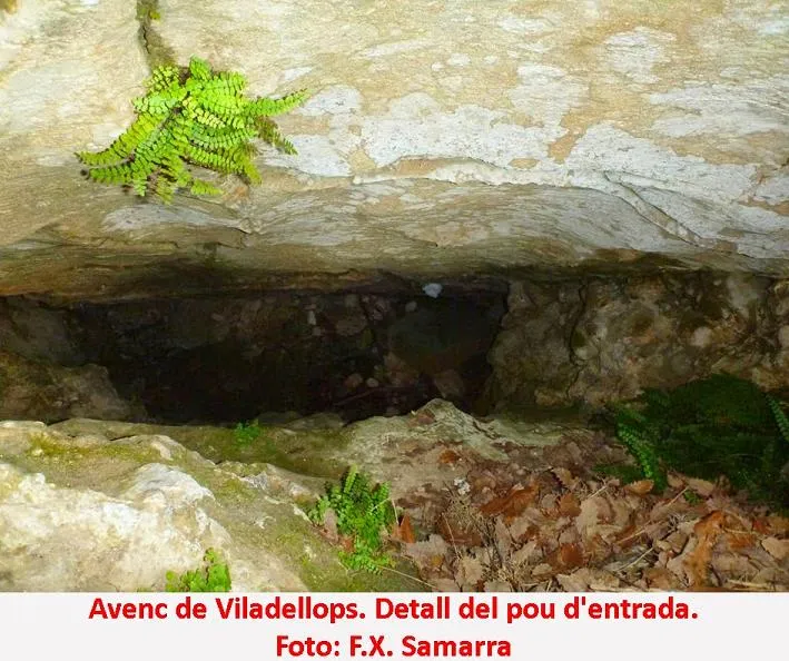 Fotografia de VILADELLOPS, AVENC DE (2 de 3)