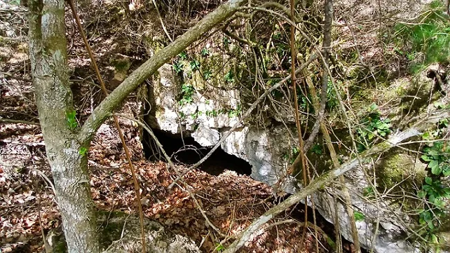 Fotografia de REC DE LES MUNTANYETES, COVA DEL (1 de 7)