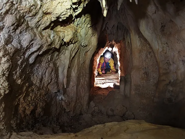 Photograph of ERA DELS ENRICS, COVA DE L' (4 of 4)