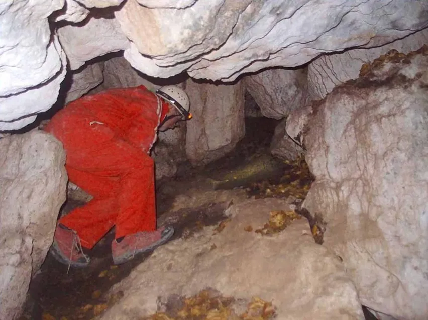 Fotografía de PASSANT DEL FAIG, COVES DEL (3 de 9)