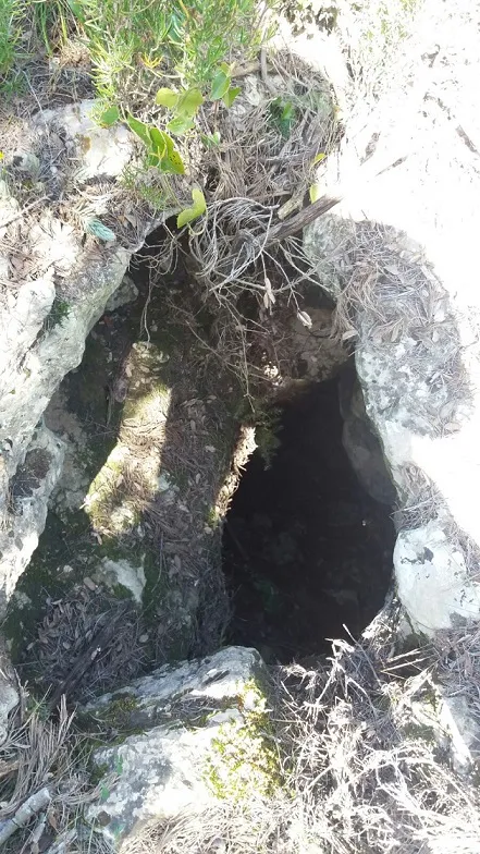 Fotografia de MASSEGA, COVA (1 de 2)