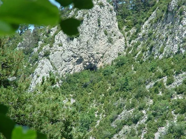 Photograph of AMAGADA DEL SAÜC, BALMA (1 of 4)