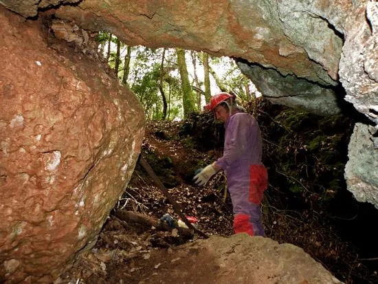 Fotografía de MASIET, COVES DEL (2 de 8)