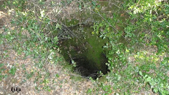 Fotografia de CURS, POU DEL (2 de 2)