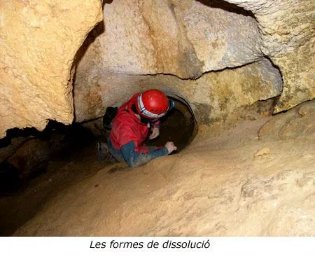 Fotografia de PUNTA GROSSA, COVA DE LA (6 de 7)