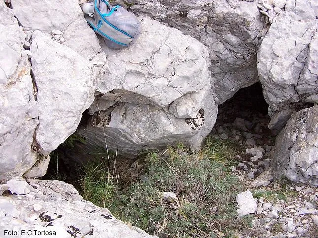 Fotografía de MOSCA, AVENC DE LA (2 de 2)