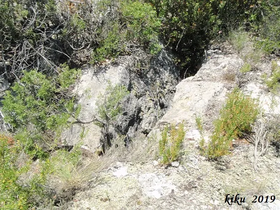 Fotografía de PUIG RONDA, AVENC (2 de 3)